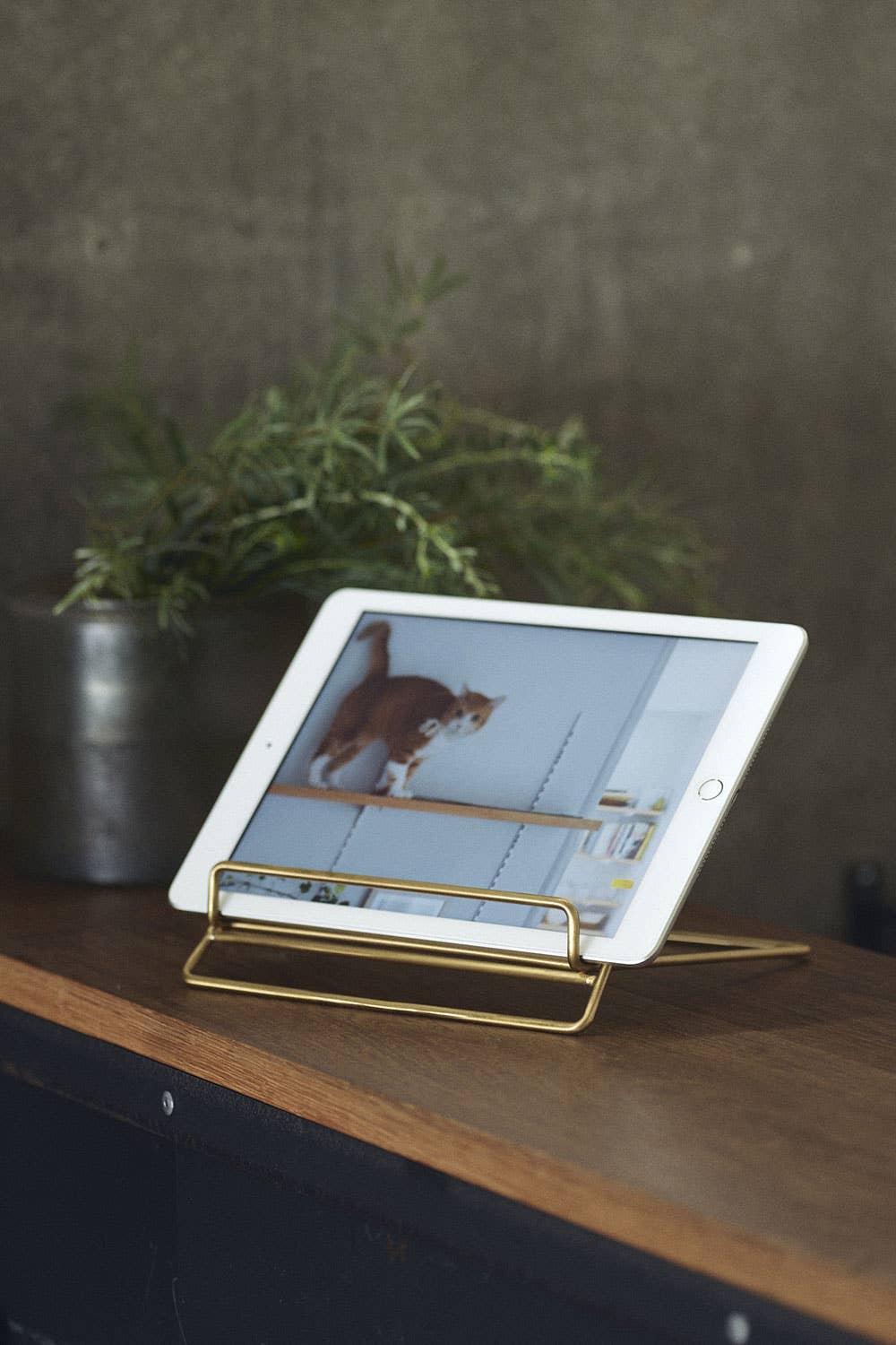 Fog Linen Work • Brass Book Stand