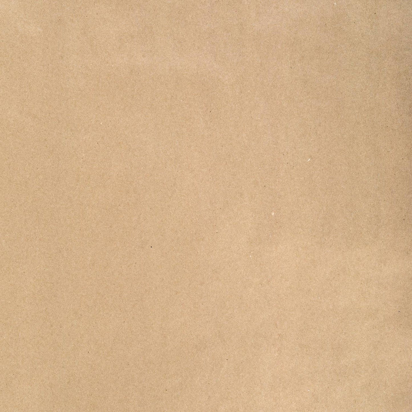 Knot & Bow • Recycled Kraft Wrapping Paper