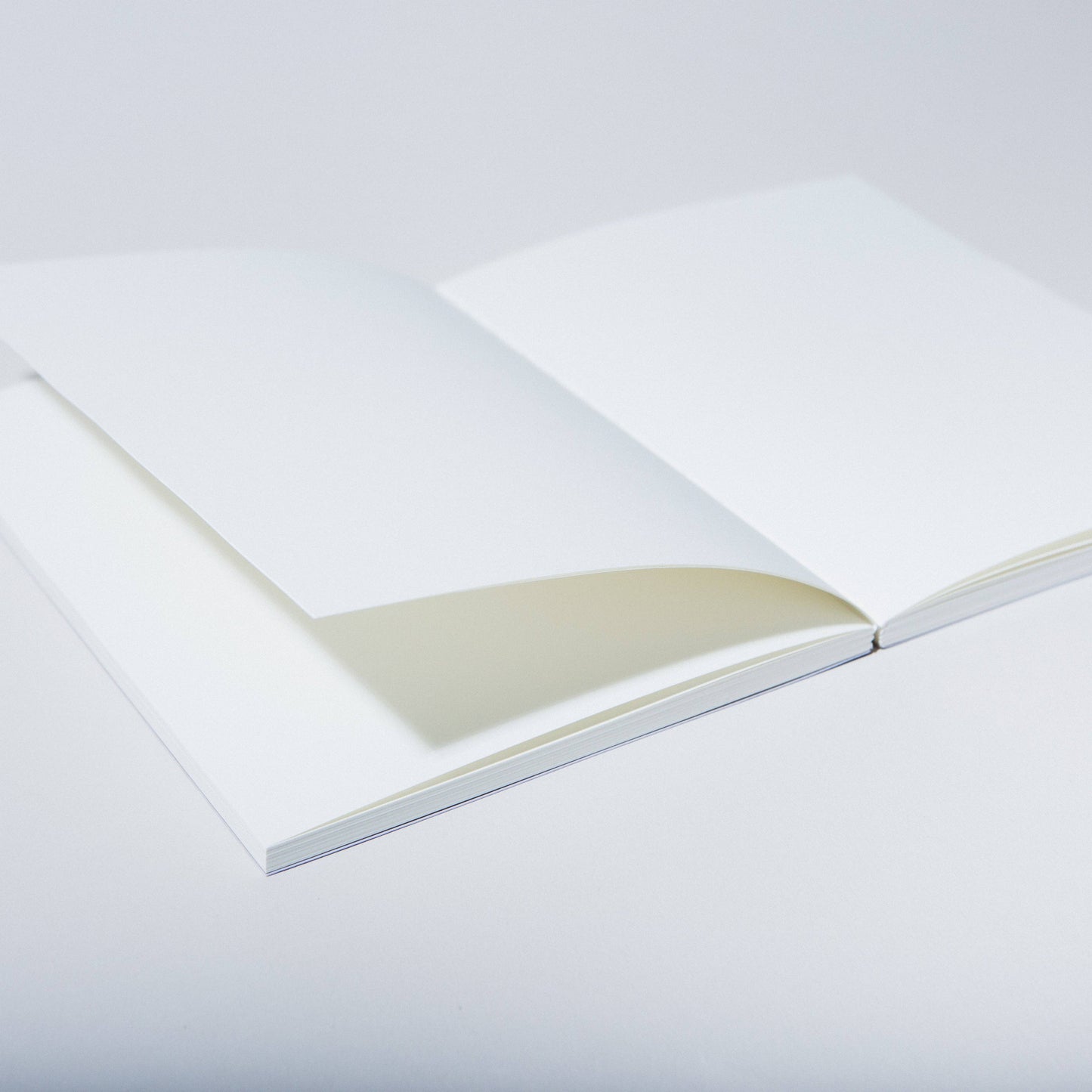 Case Study • Layflat Notebook - Desert