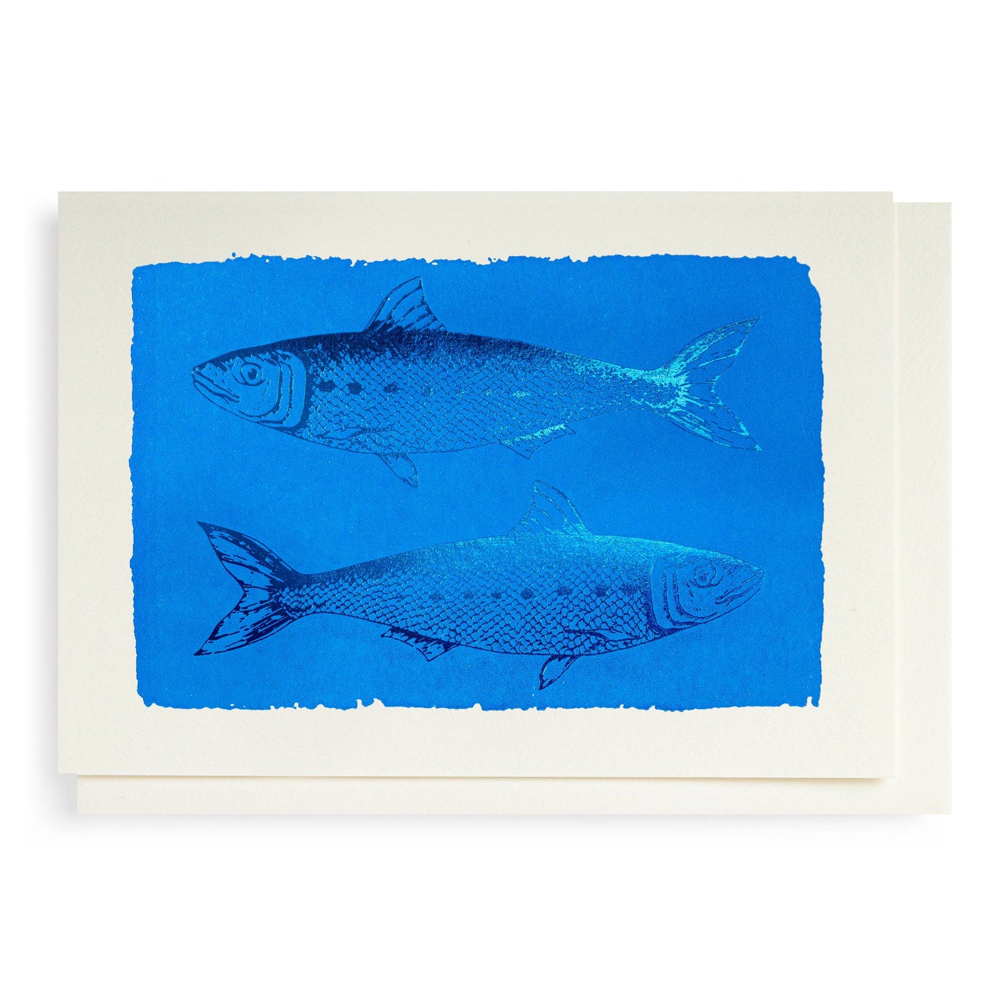 Archivist Gallery • Sardines Card