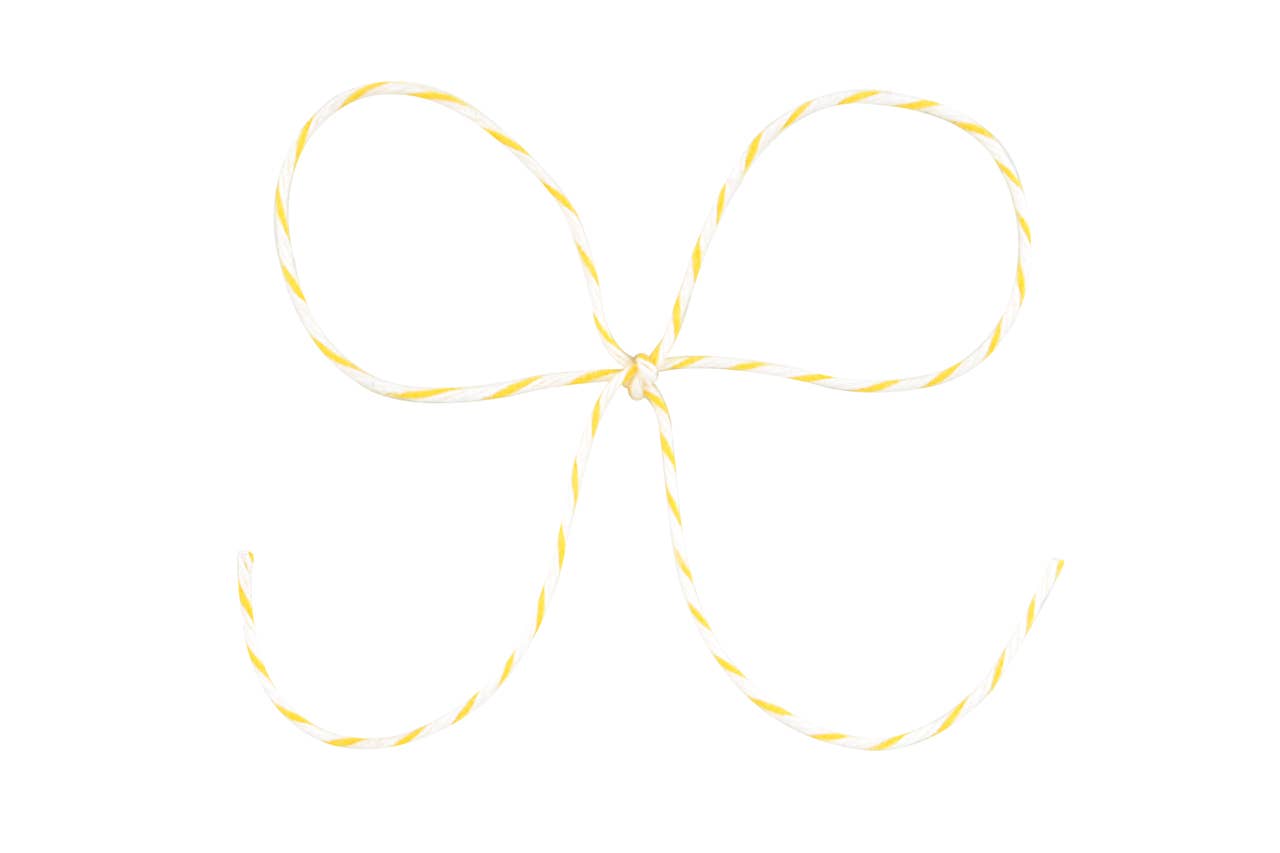 Midori Inc. • Twine - yellow + white
