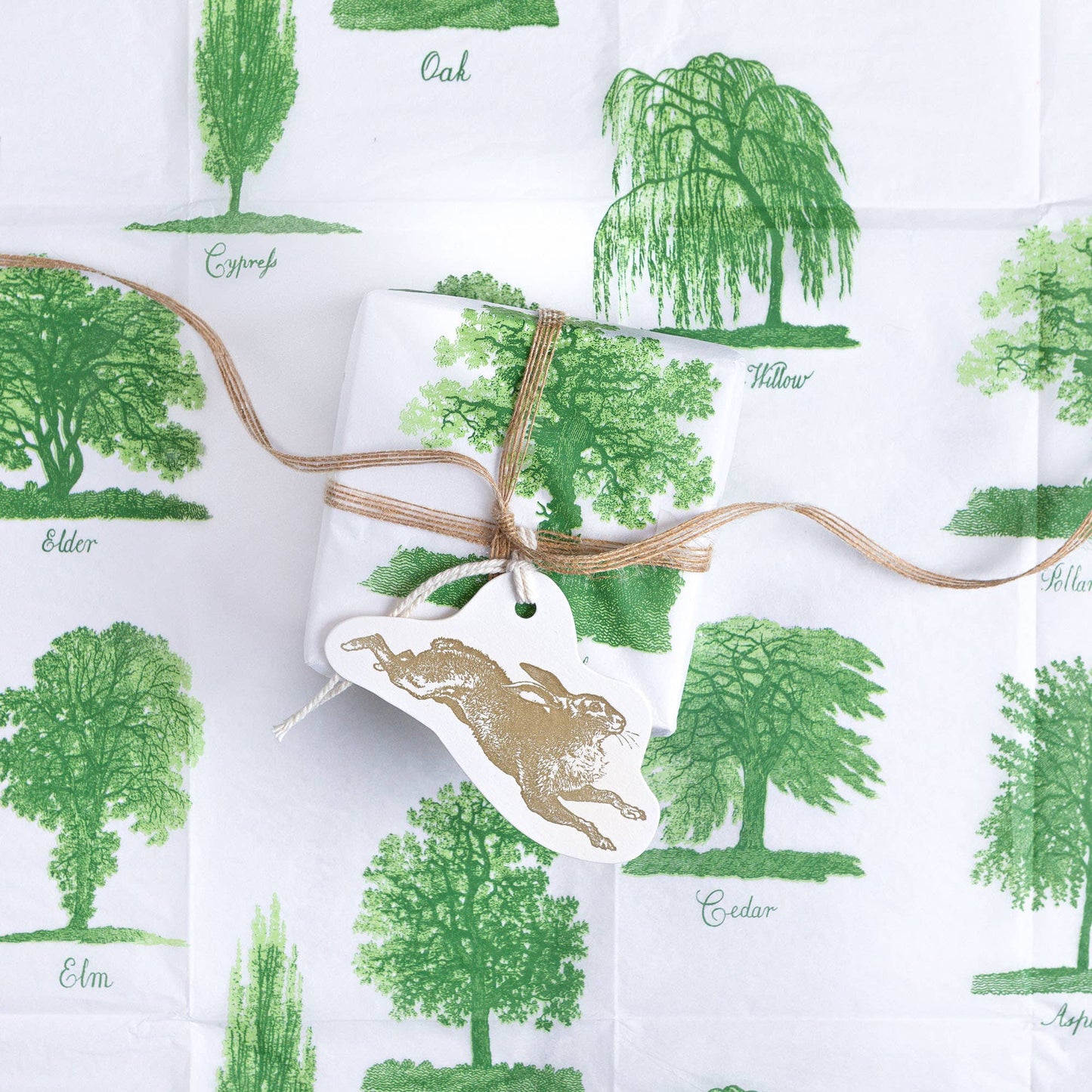 Archivist Gallery • Trees Tissue Paper