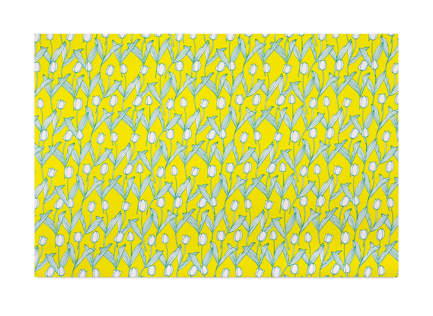 Regaro Papiro • Tulips Wrapping Paper