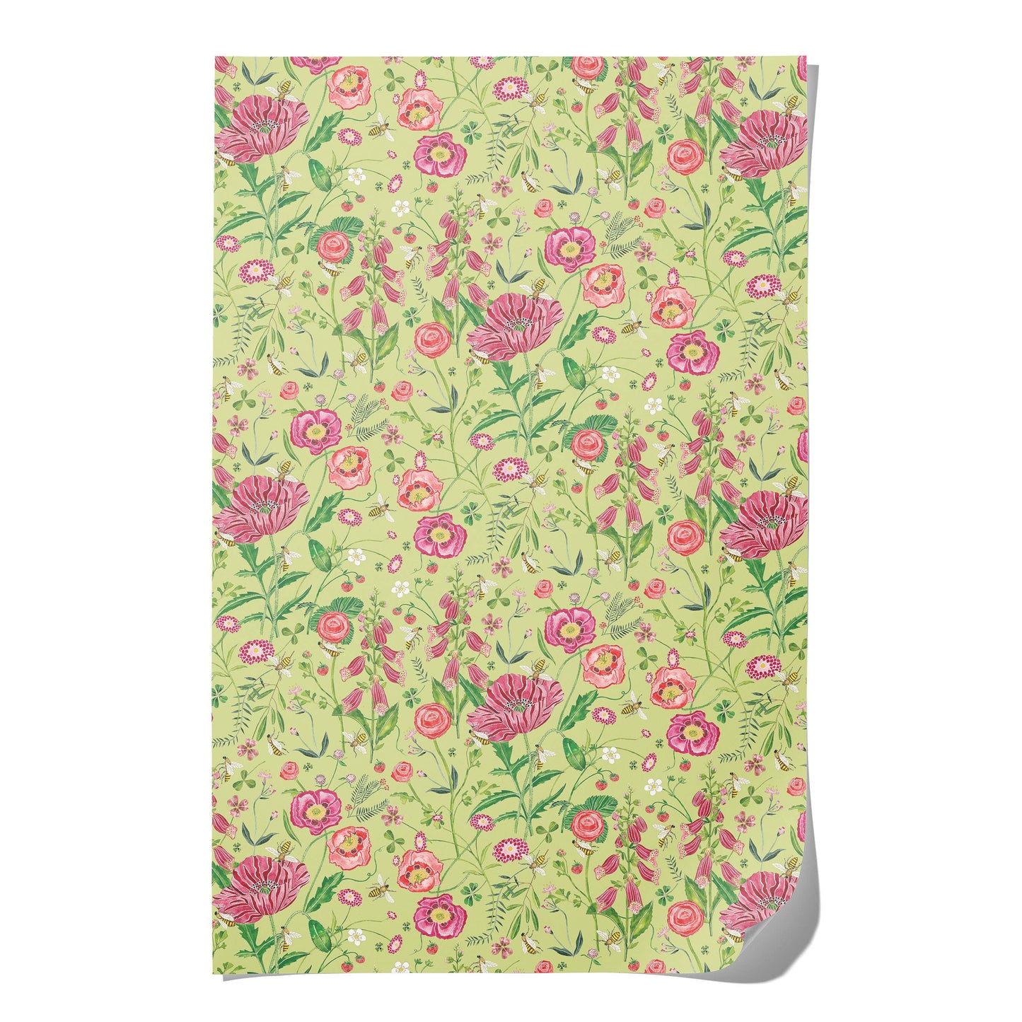 Red Cap Cards / Bees wrapping paper