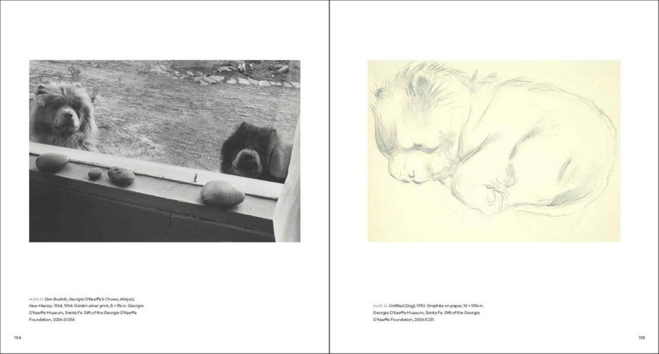 Georgia O'Keeffe, Photographer