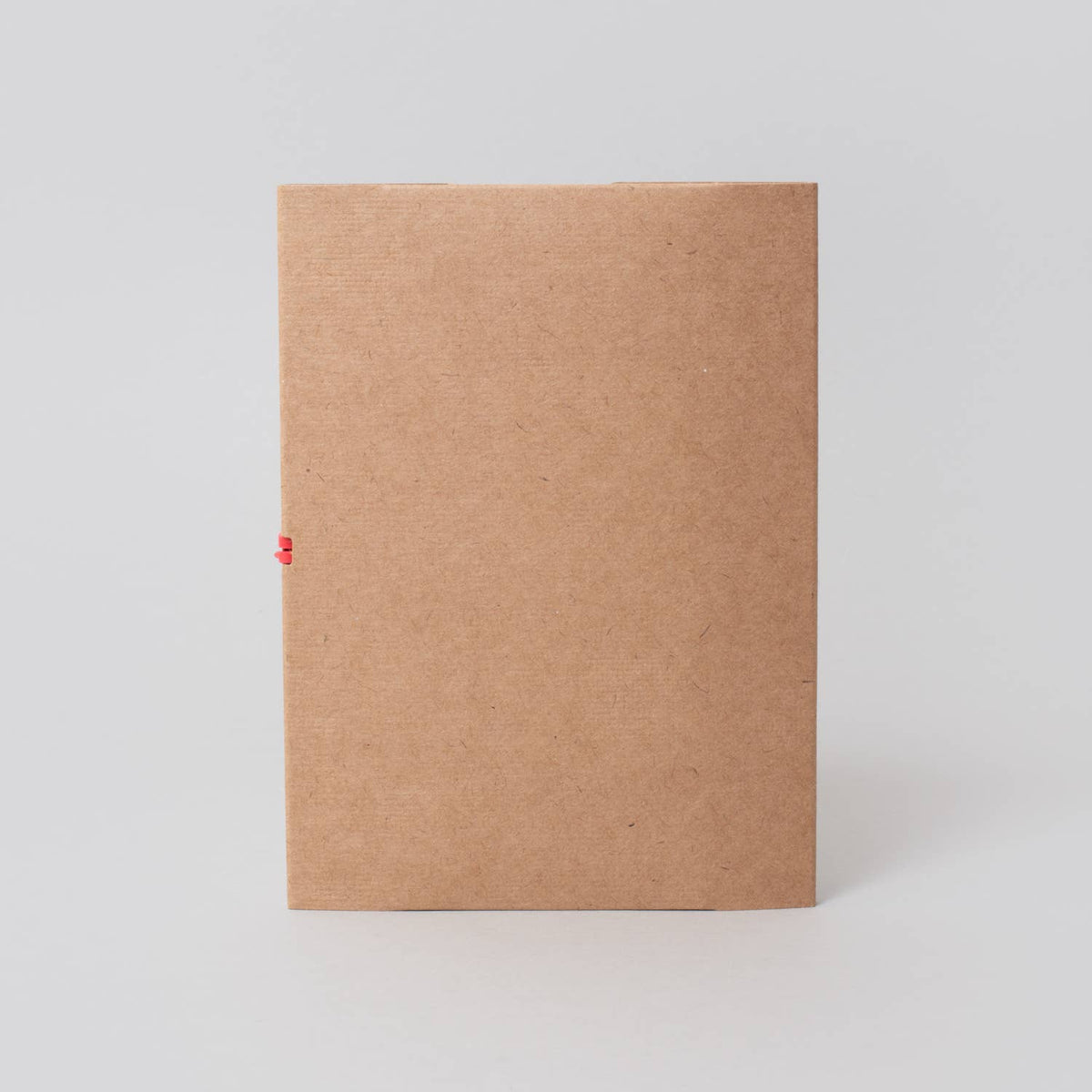 Egg Press x. Hello!Lucky • Foldeeo Notebook - Green Gingham
