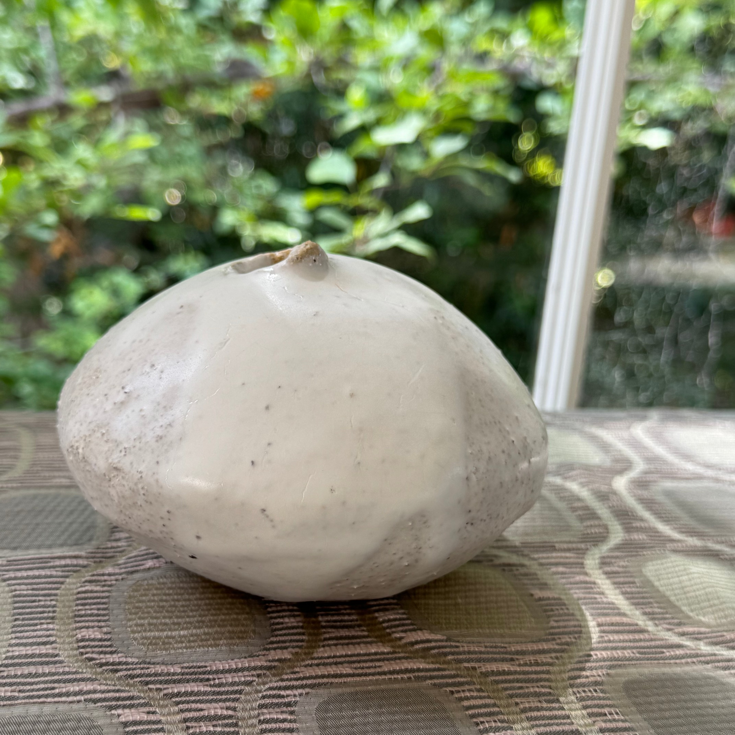 MONDAYS • Moon Bud Vase