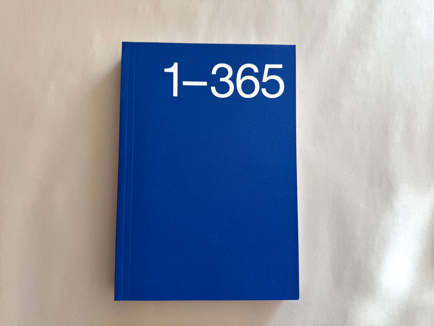 Marjolein Delhaas • Journal 365