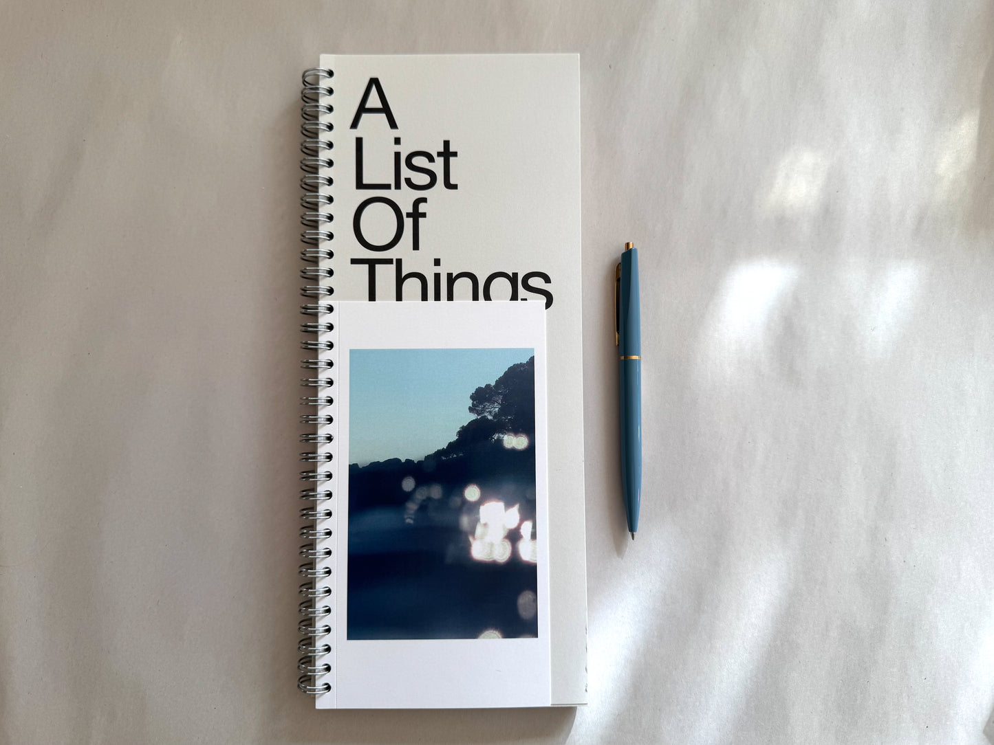 Marjolein Delhaas • A List of Things