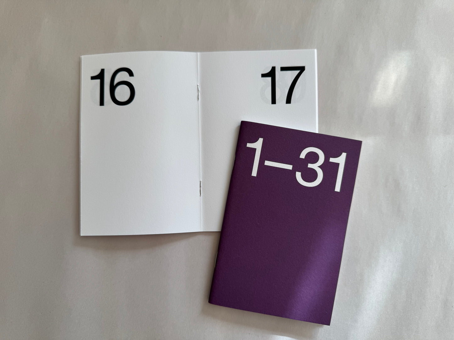 Marjolein Delhaas • Journal 31 (set of 3)