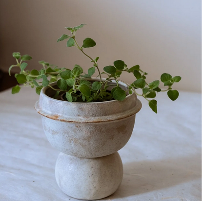 Neko.Co.Neko. • Planet Planter Set