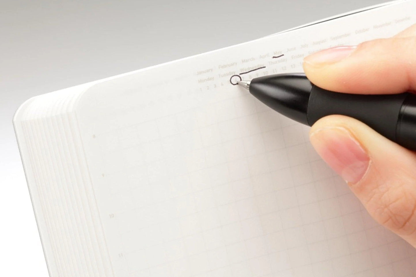 Stalogy • 365 days notebook - A5