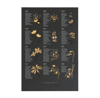 YAC • CA Native Wildflowers (3 colors)