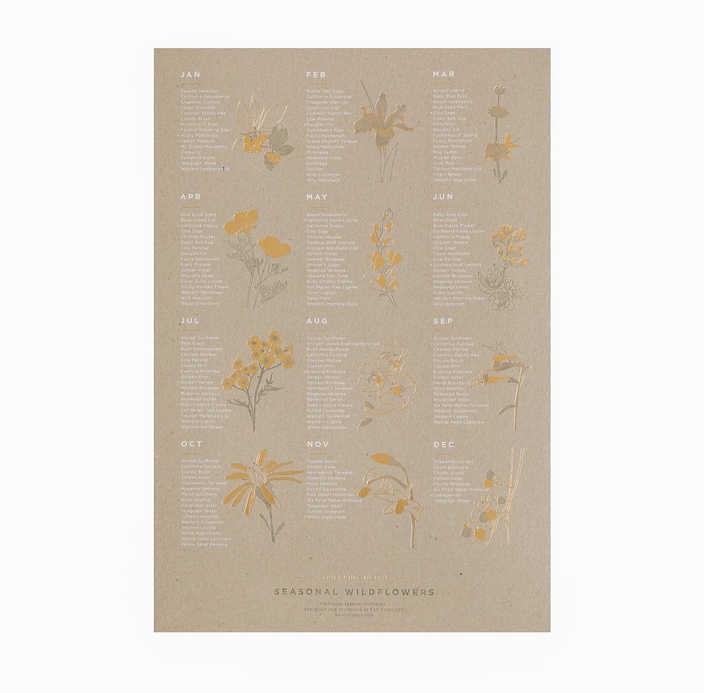 YAC • CA Native Wildflowers (3 colors)