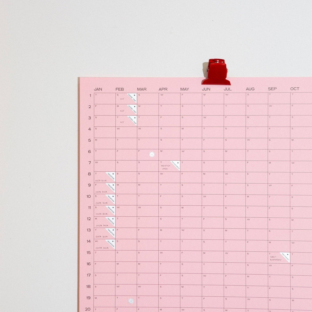 Case Study • 2027 Wall Calendar - Pink