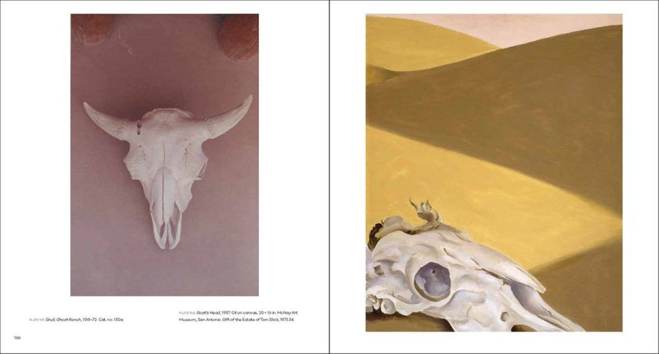 Georgia O'Keeffe, Photographer