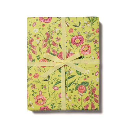 Red Cap Cards / Bees wrapping paper